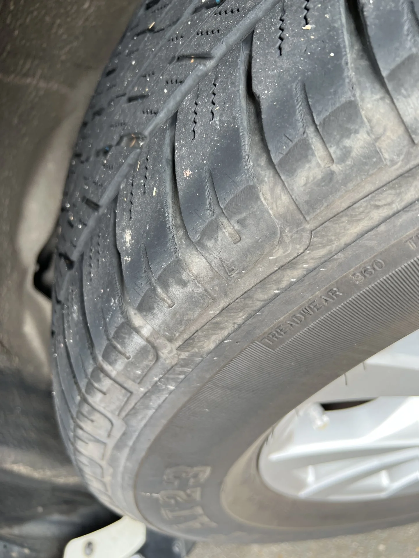 B8E2400D-FC0B-4ABD-BF82-B82A22E3FE73.webp