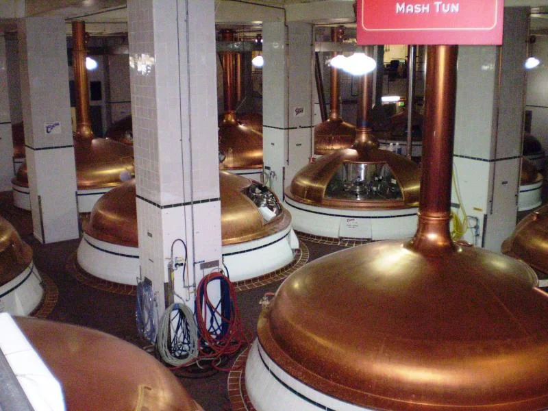 B_Coors plant.webp