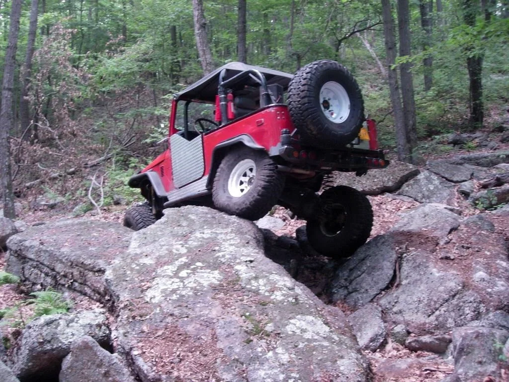 Baby on a Rock.jpg