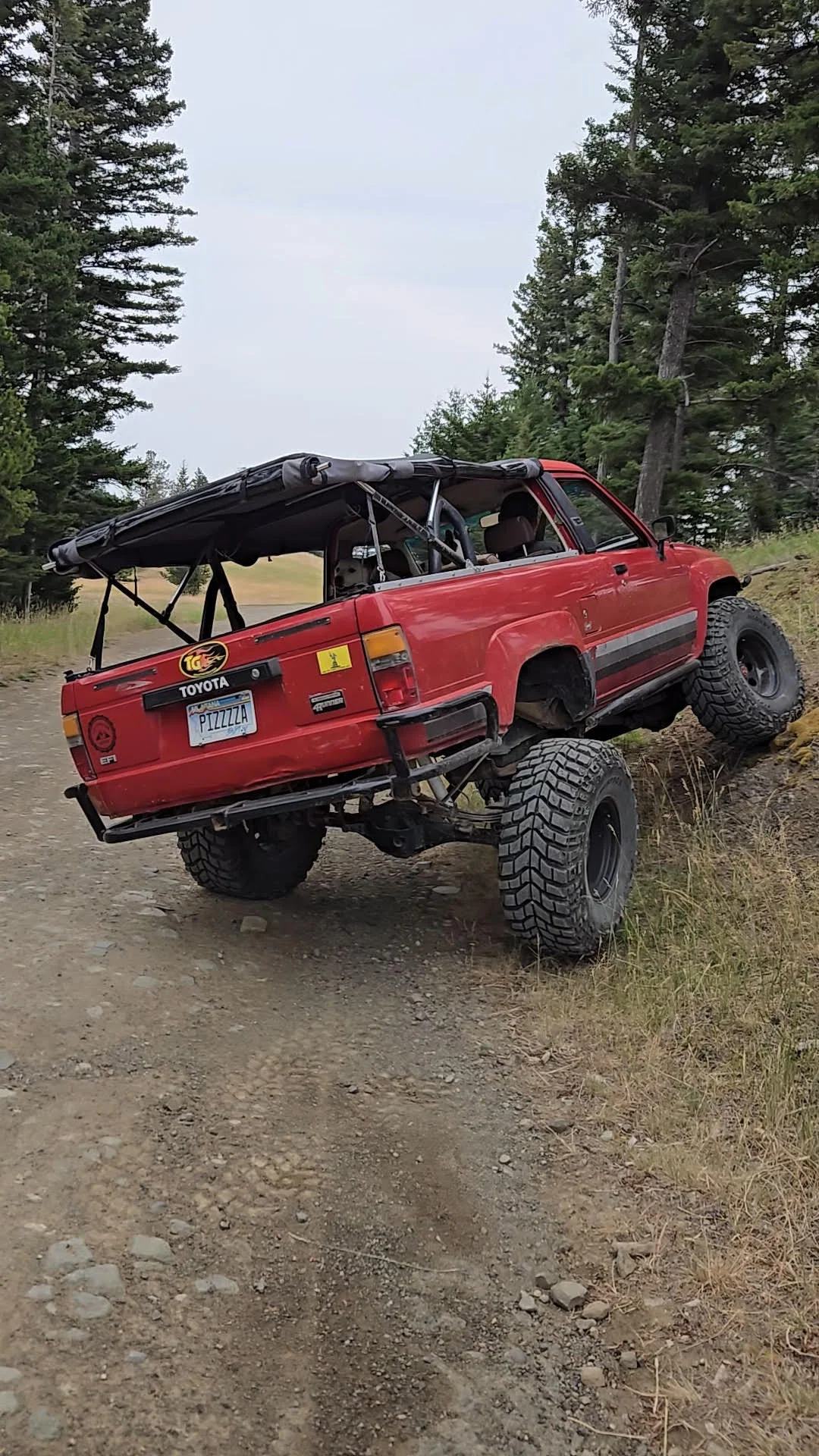 back flex.jpg