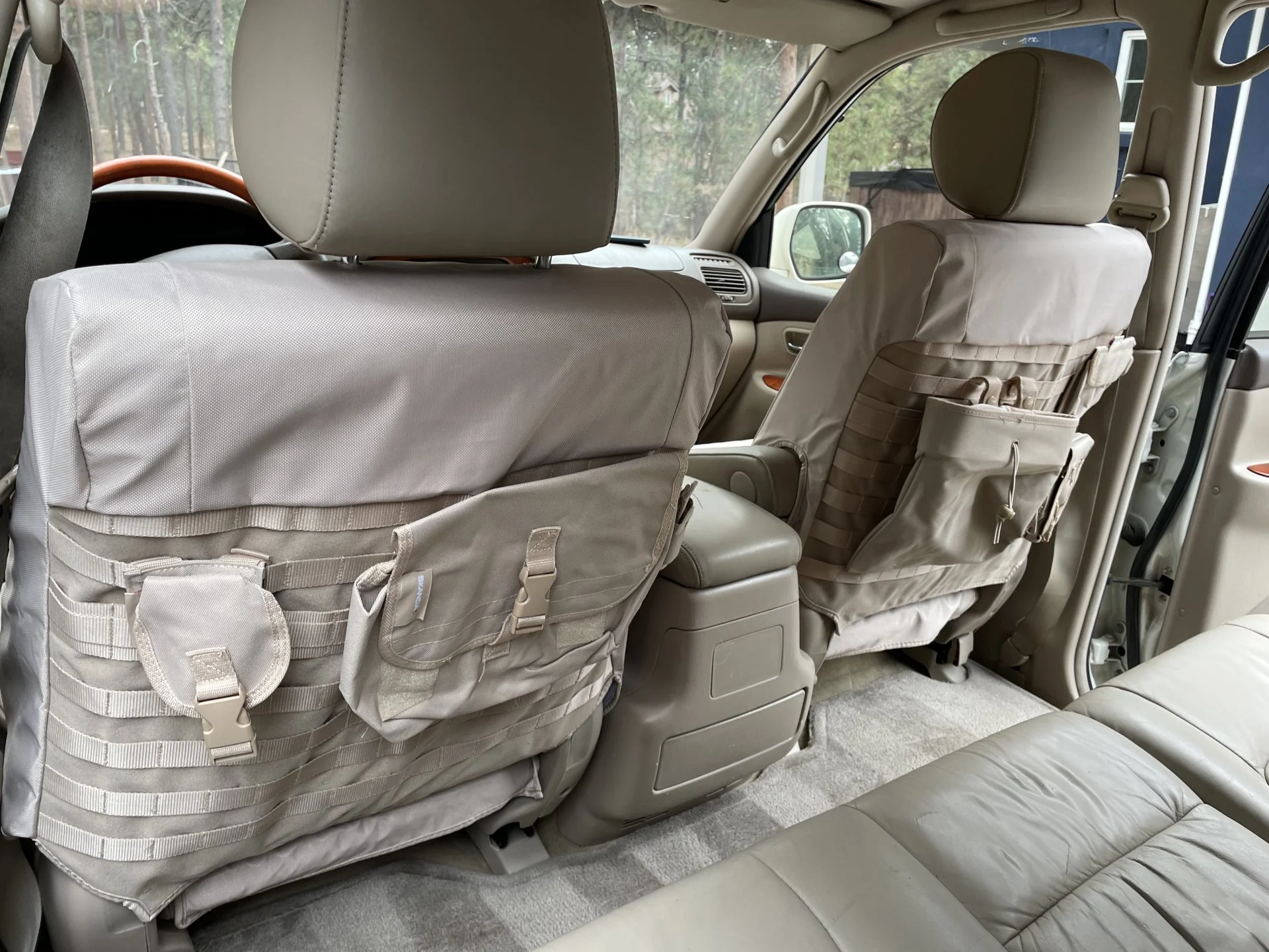 Back of front seats.webp