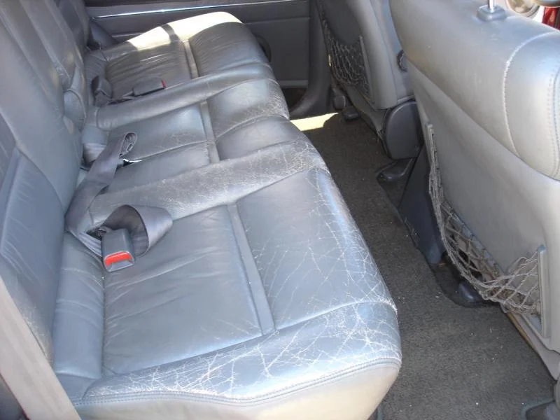 back seat 1.webp
