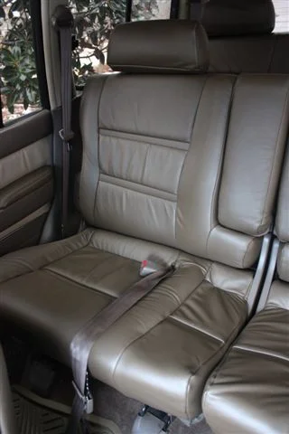 Back seat pass.webp
