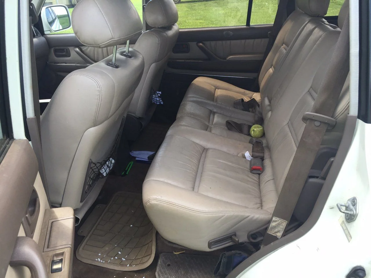back seat.webp