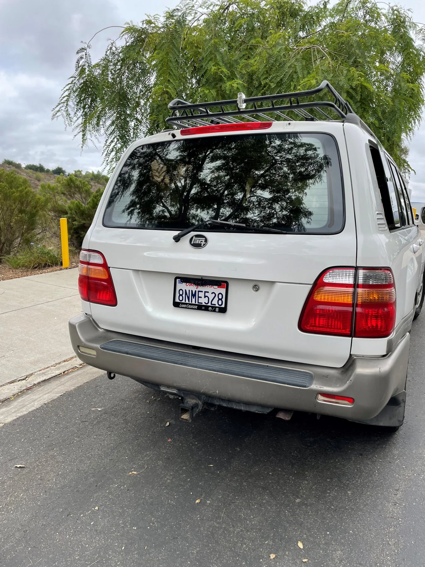 back side.jpg