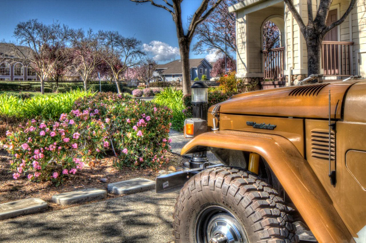back_on_road.webp