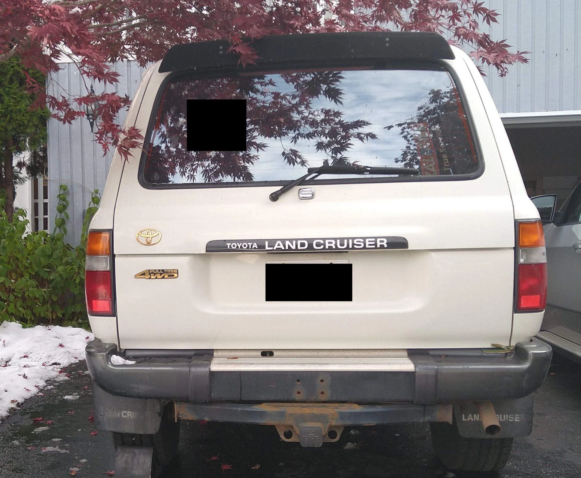 back_view.webp