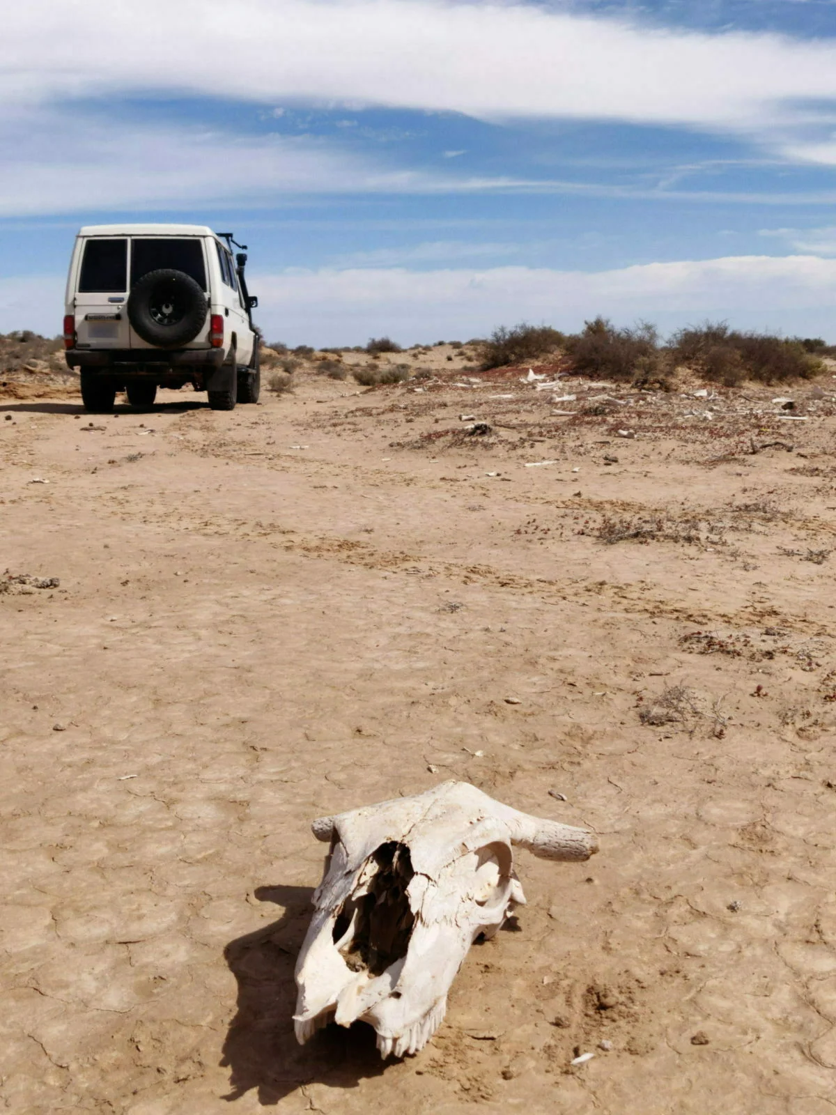 Baja-OP6_212005-Troopy.jpg