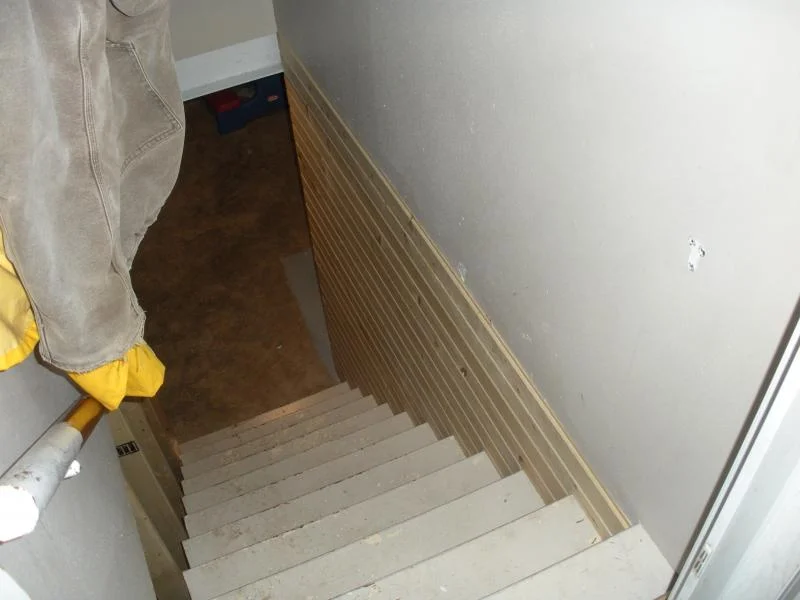 basement steps 01042009 001.webp