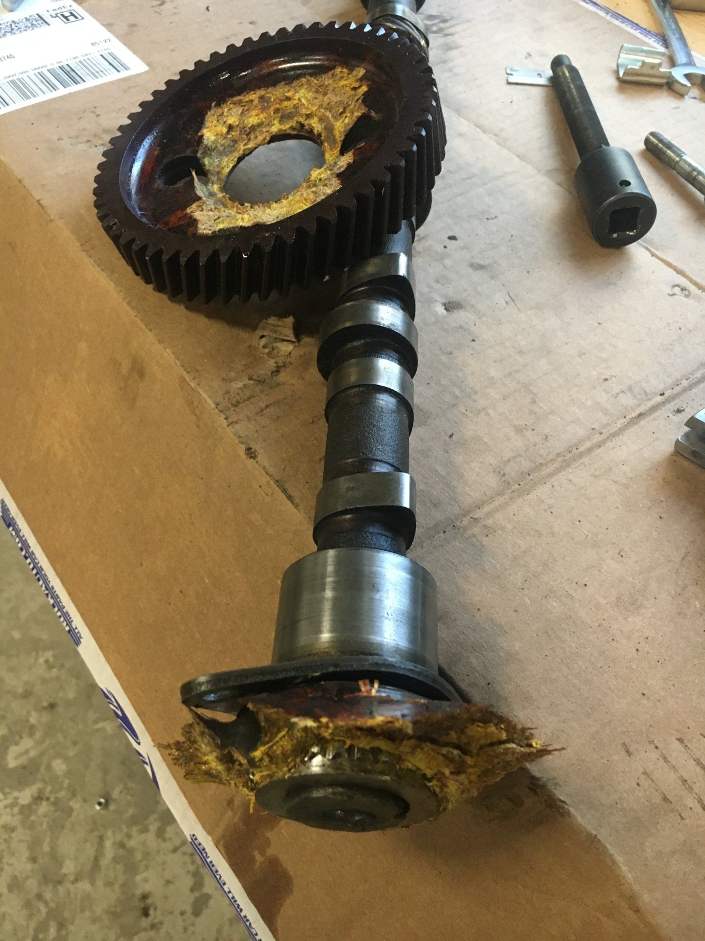 BDB21E4D-0945-409C-8AC1-5EC7A0AD7892.jpeg