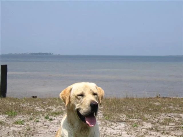 beach 012 (Small).webp