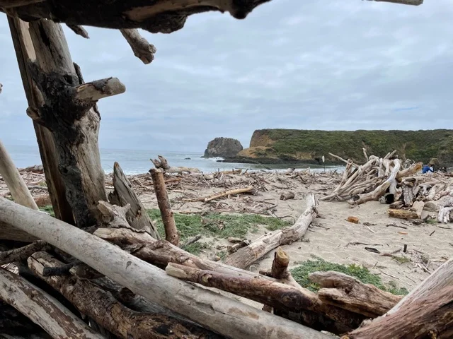 Beach big sur.webp