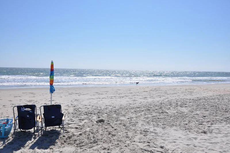 beach2.webp