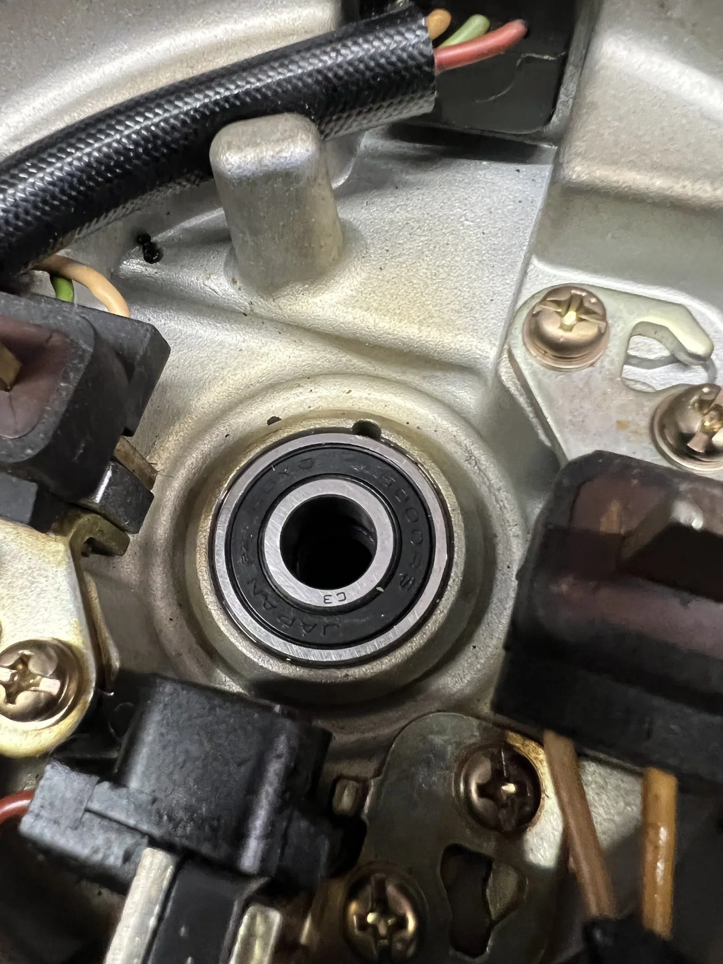 Bearing Seated.webp