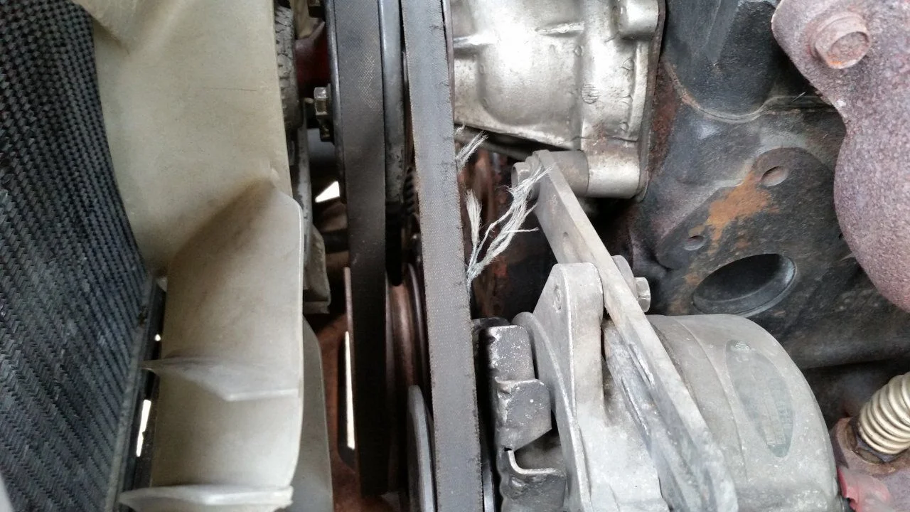 belt.webp