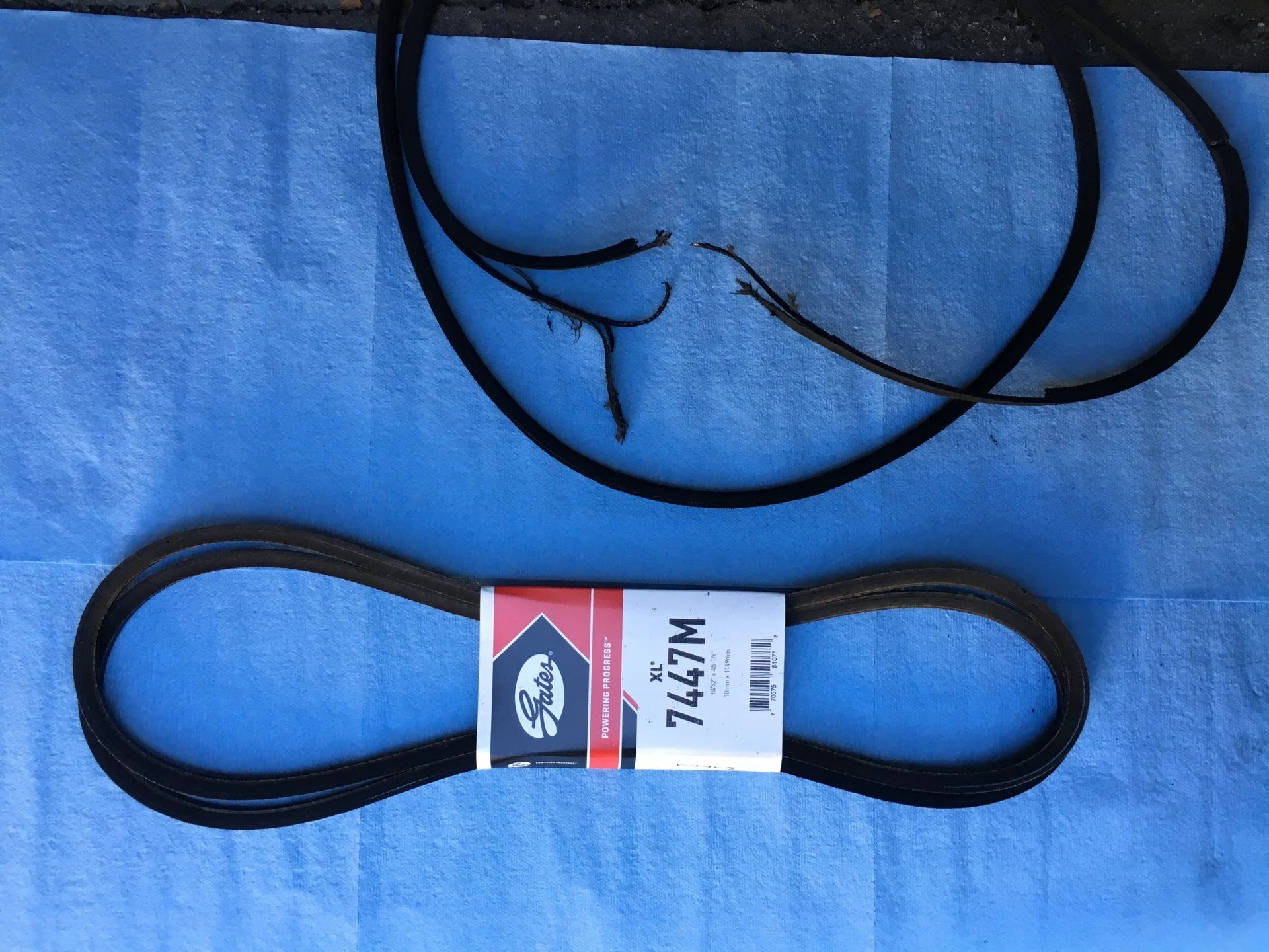Belts 2.webp