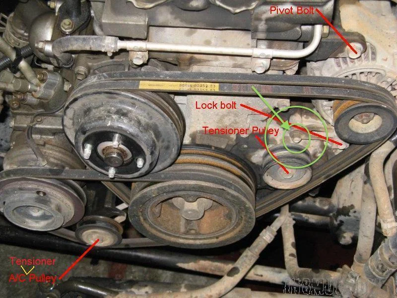 Belts - Full view copy.webp