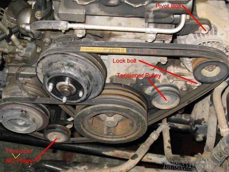Belts - Full view.jpg