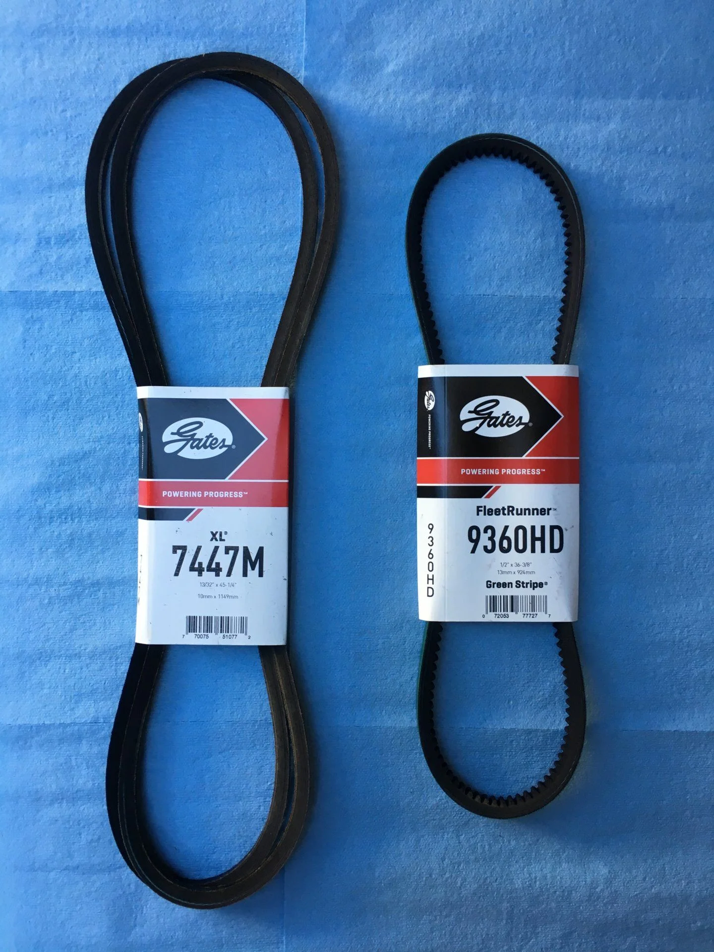 Belts.webp