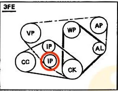 Belts.webp