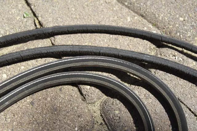 belts.webp