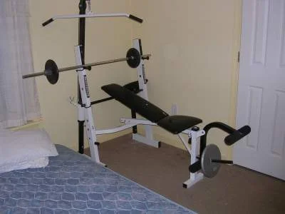 bench.webp
