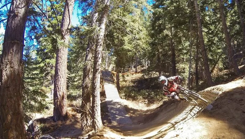 Berms.webp