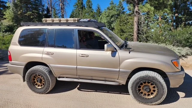 Big Bear 1.webp