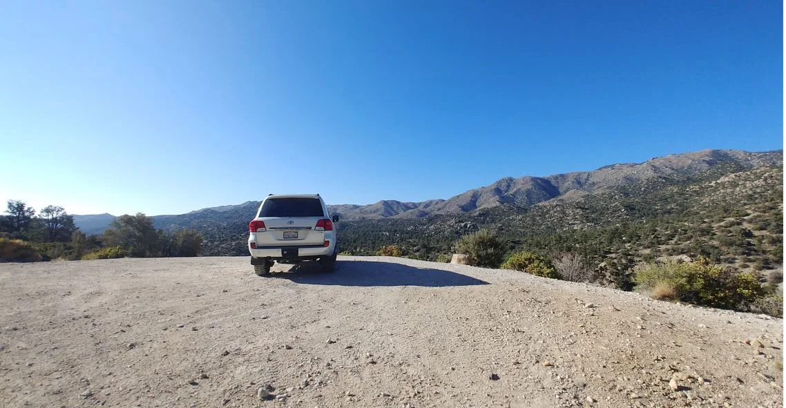 big bear 2.webp