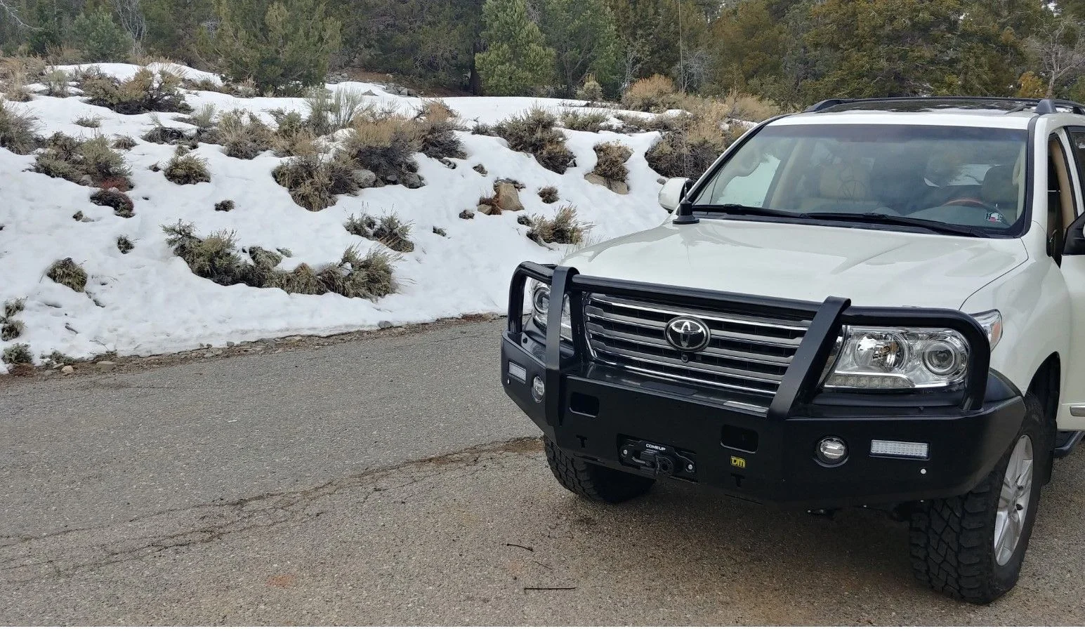bigbear 1 22820.webp