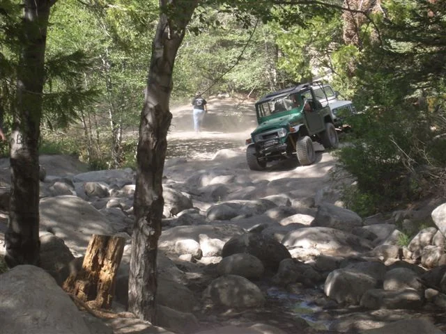 BigBear5-07025.webp