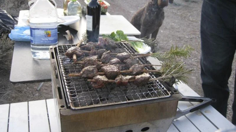 Bighorn skewers.webp