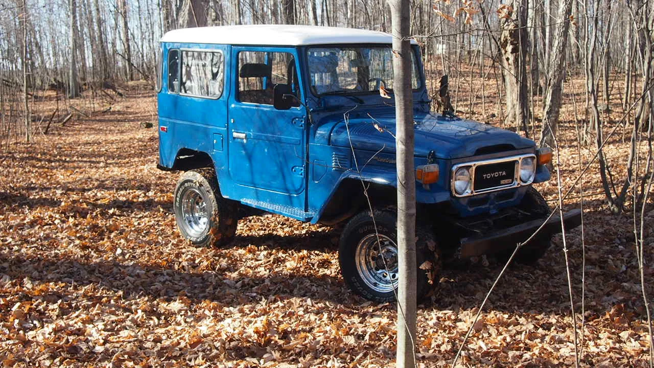 BJ42 Woods.webp