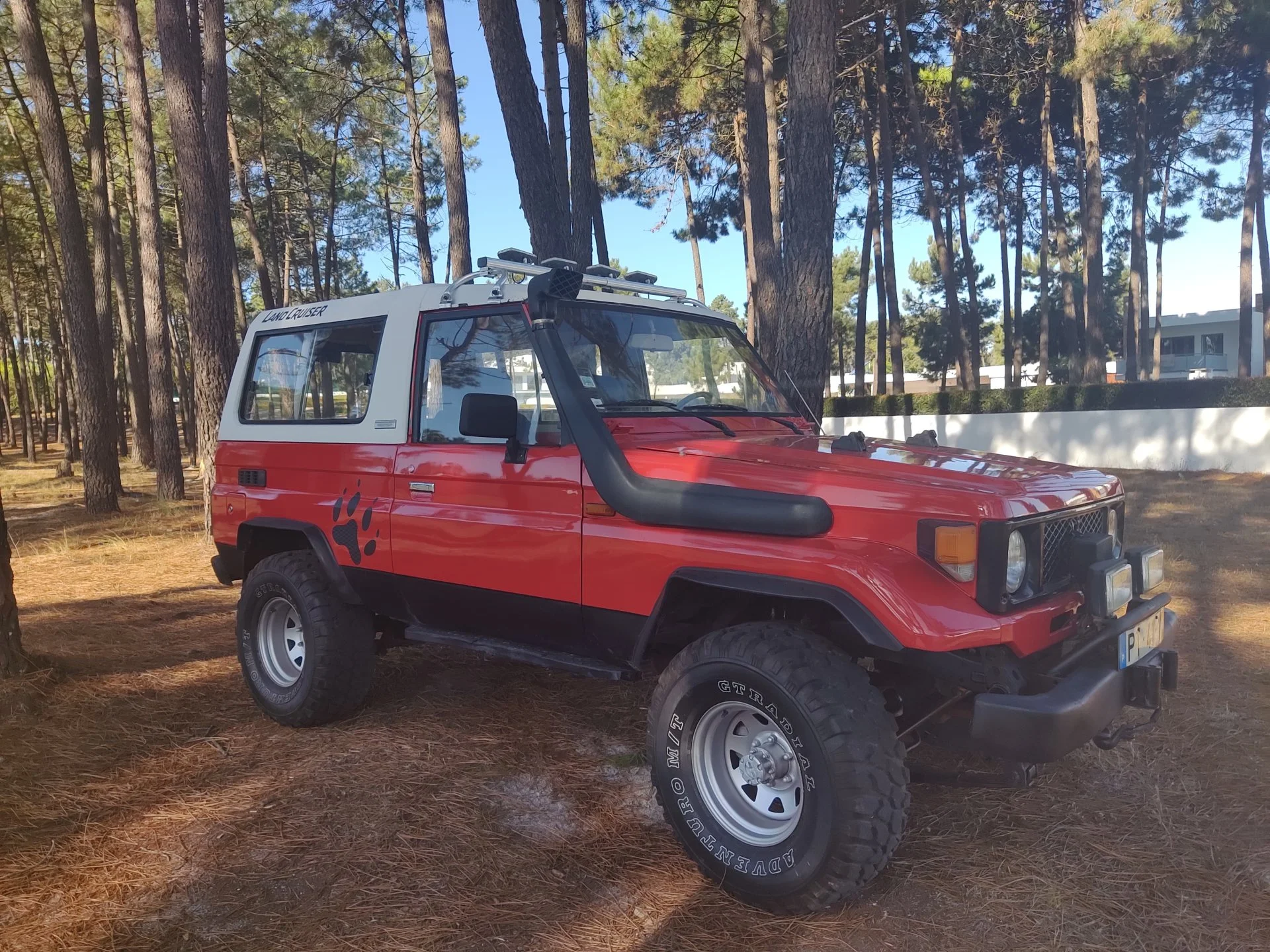 bj73.webp