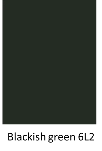 blackish green.png
