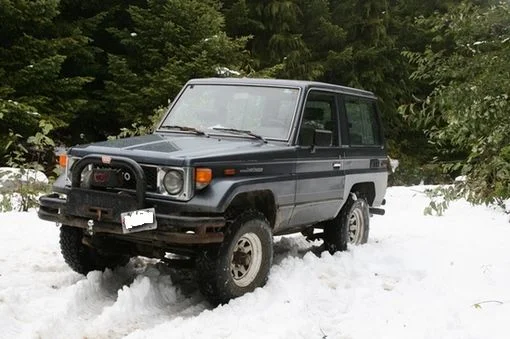 blue in snow.webp