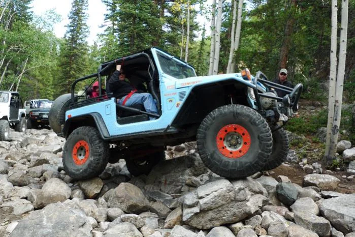 Blue Mule 01.webp