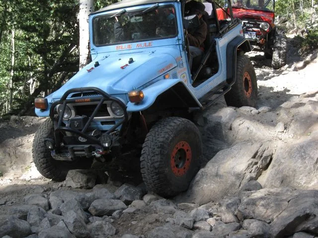 Blue Mule 02.webp