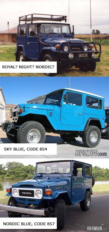BLUES_FJ.jpg