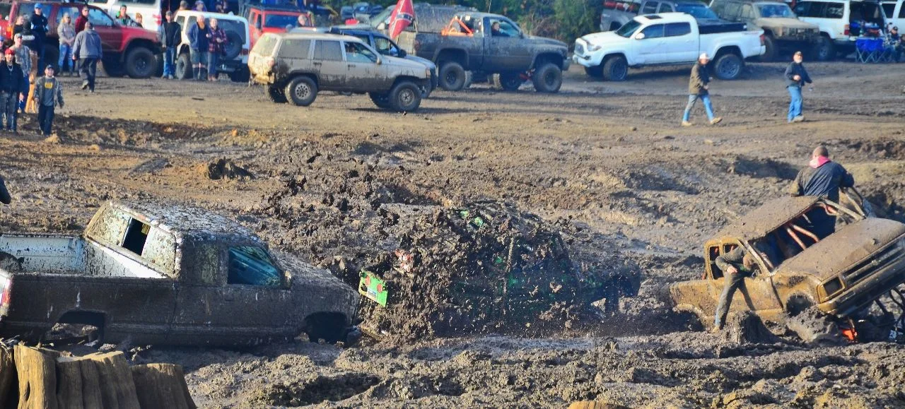 Bog Madness (1280x579).webp