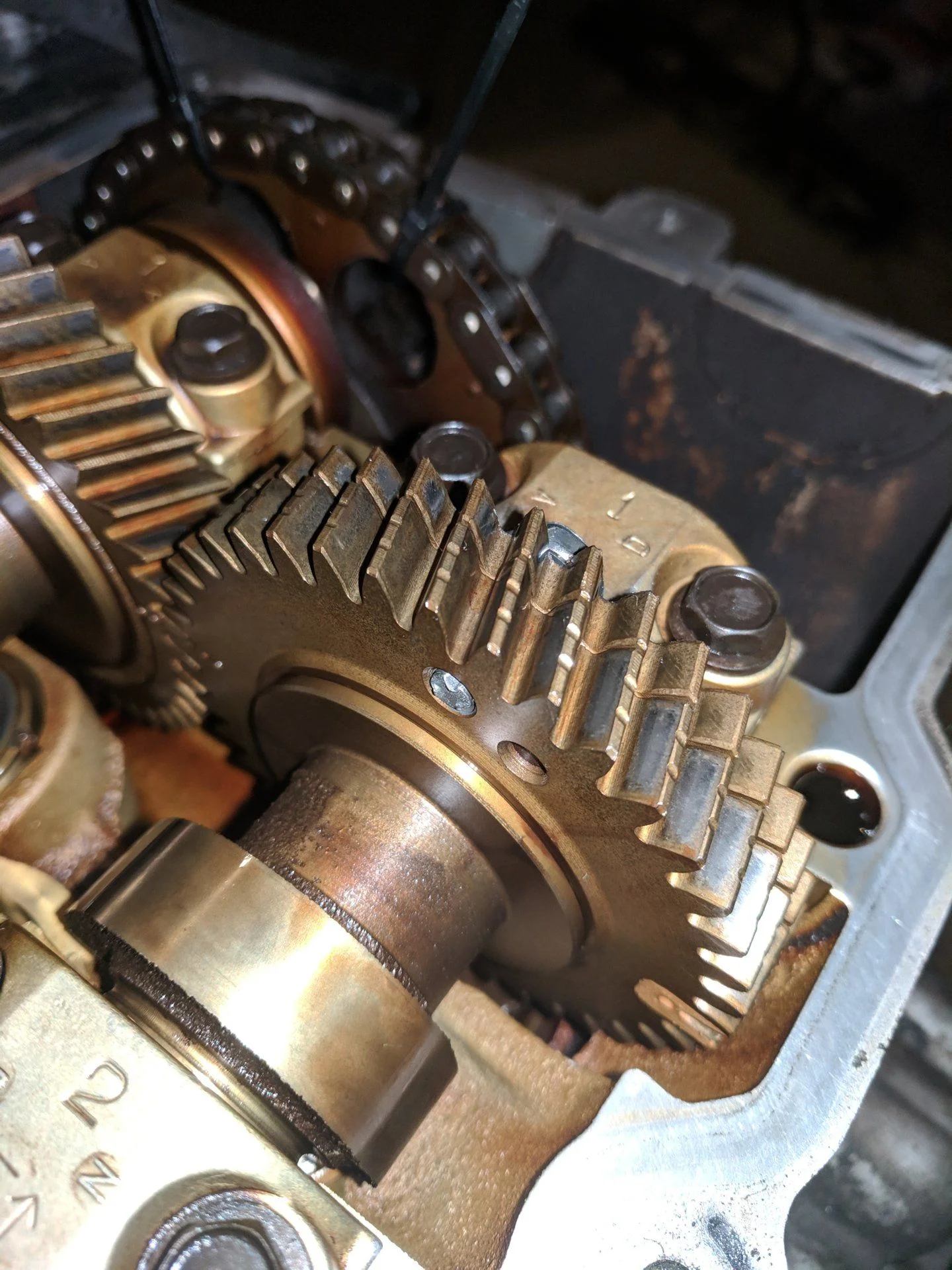bolt in place 2.webp