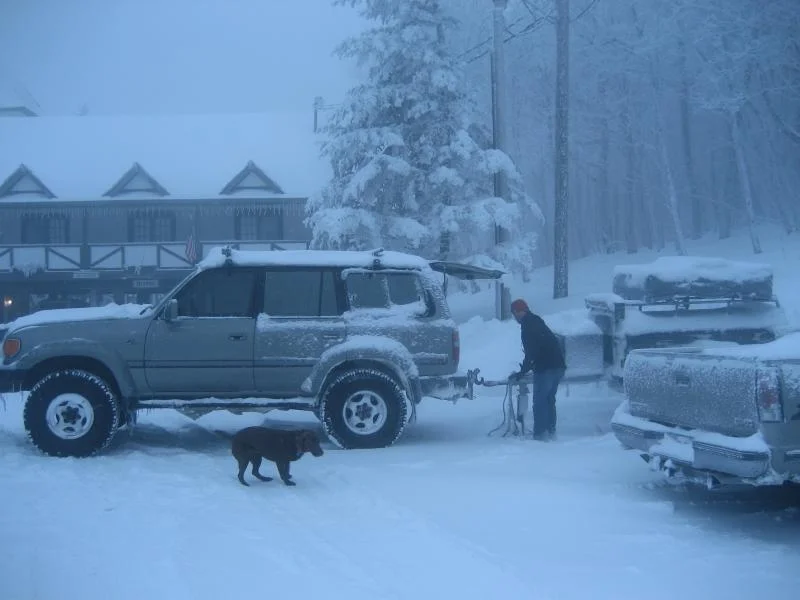 Boone 006.webp