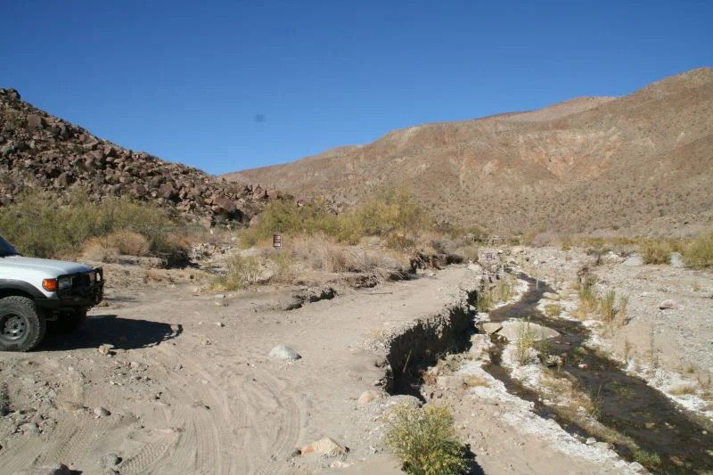Borrego m5.webp