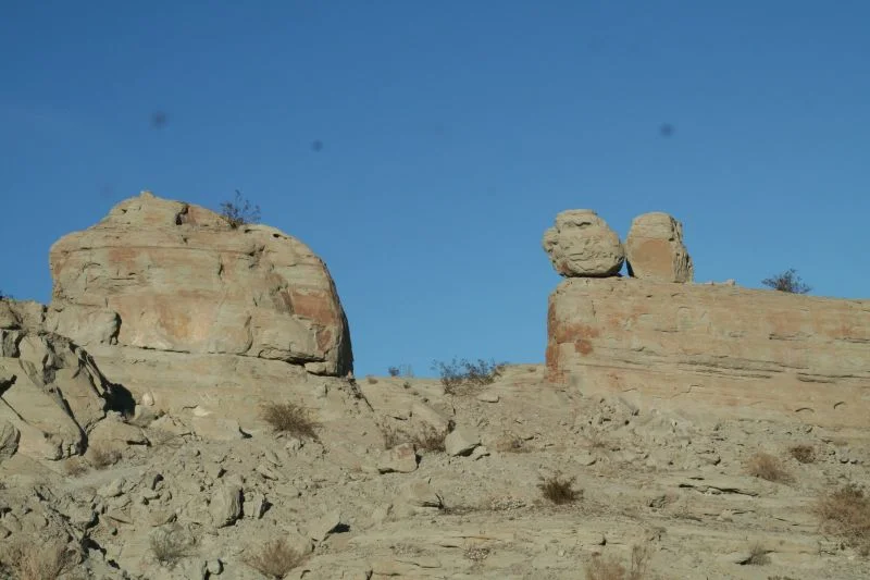 Borrego m7.webp