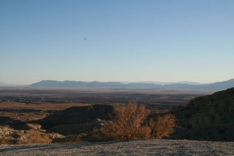 Borrego m8.webp