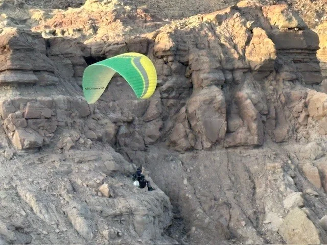 Borrego Paraglider.webp