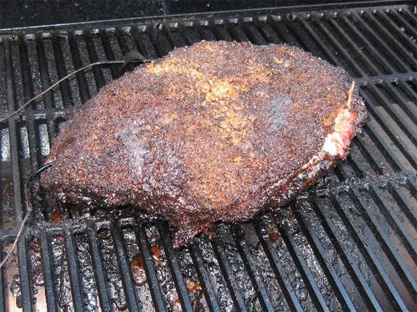 bostonbutt.jpg