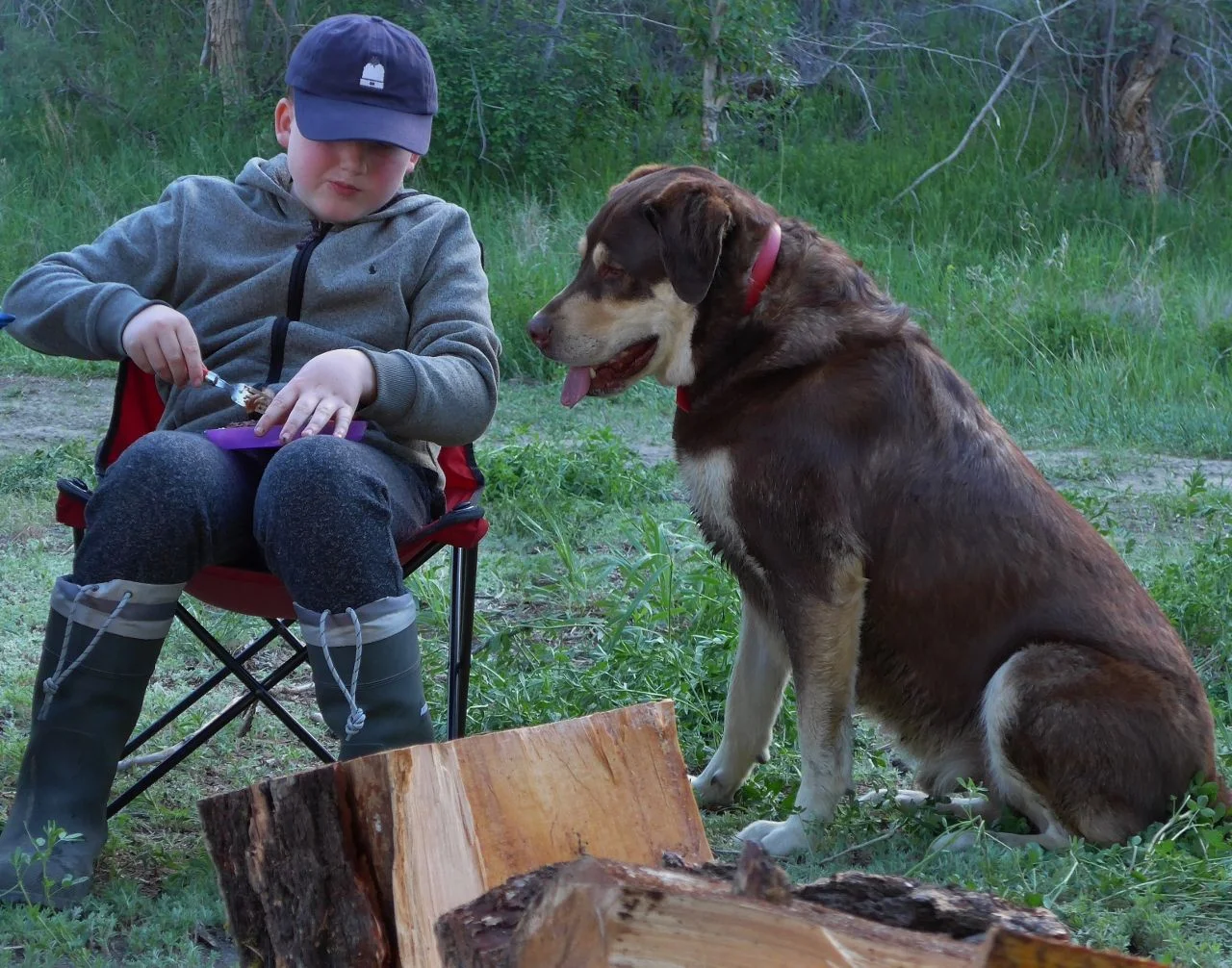 Boy and his dog (1280x1006).webp