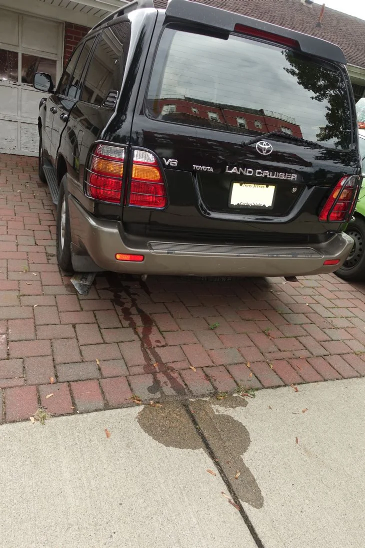 Brake Fluid leak_02325_pvt.webp