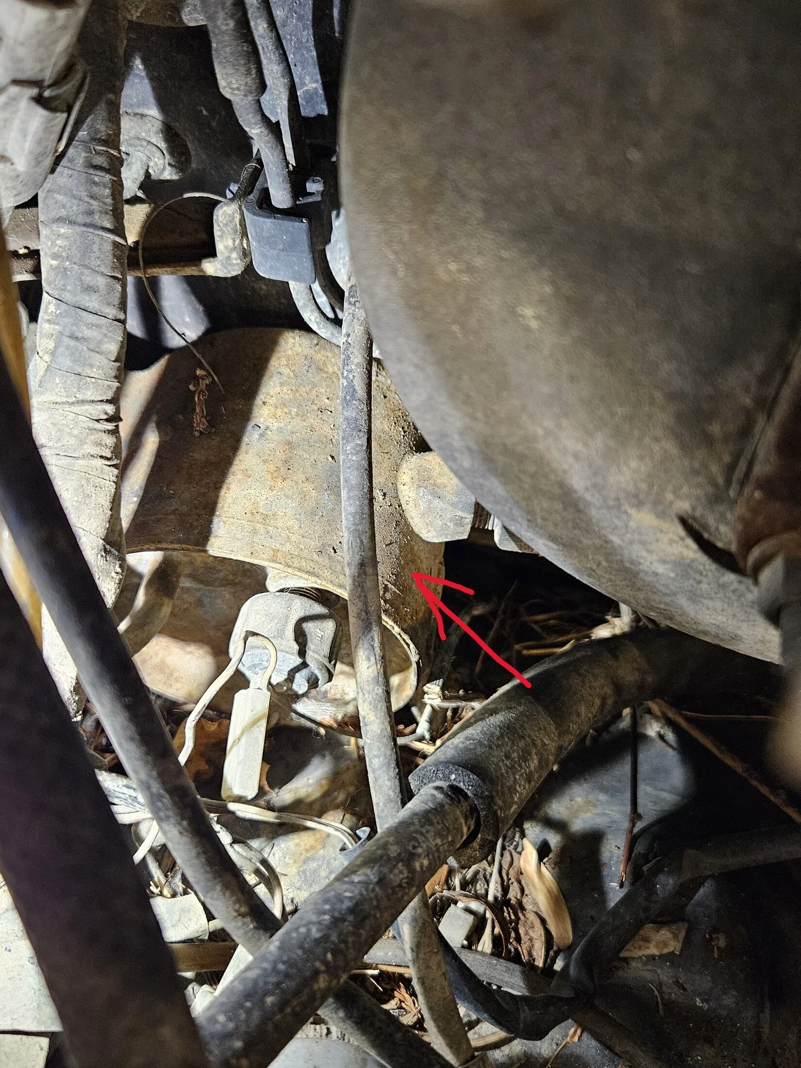 Brake.webp